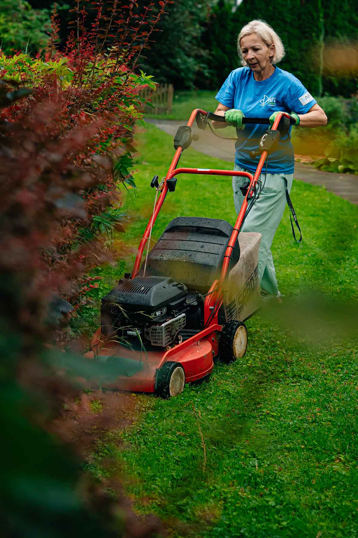 Dara reinigung zurich home care mowing